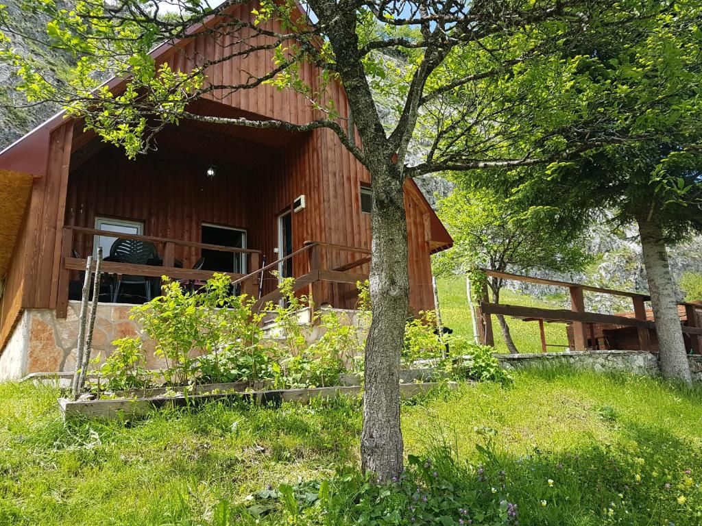 Гостевой дом Detached house Milivoje Pošćenje-38