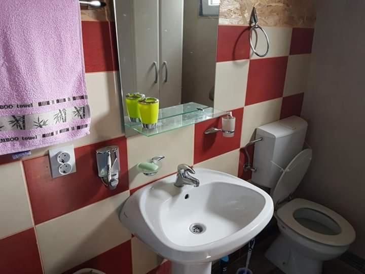 Гостевой дом Detached house Milivoje Pošćenje-47