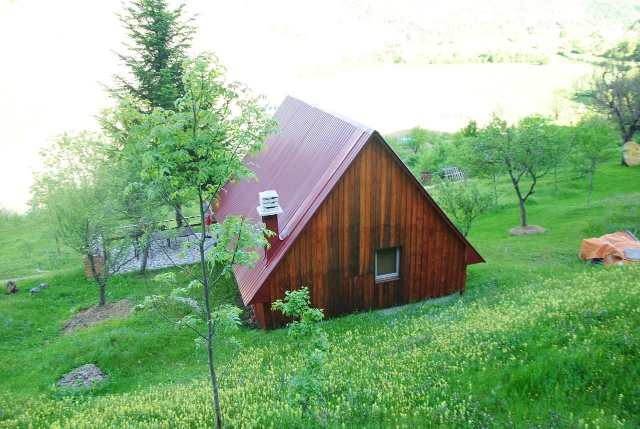 Гостевой дом Detached house Milivoje Pošćenje-10