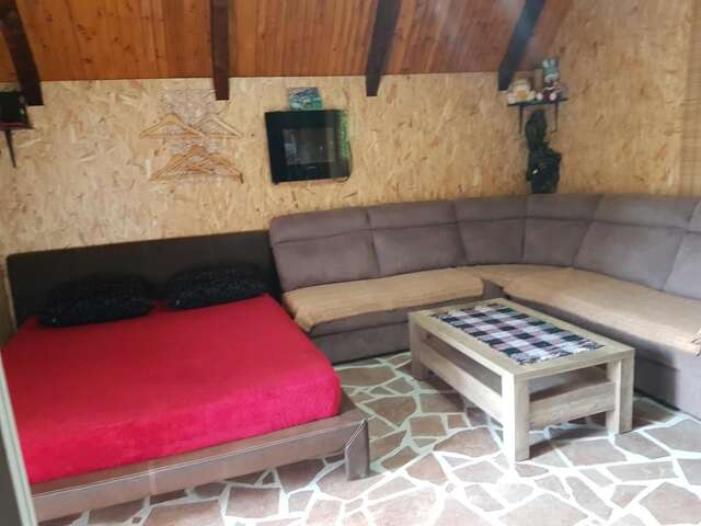 Гостевой дом Detached house Milivoje Pošćenje-16