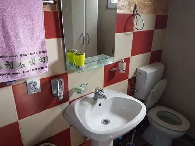 Гостевой дом Detached house Milivoje Pošćenje-25