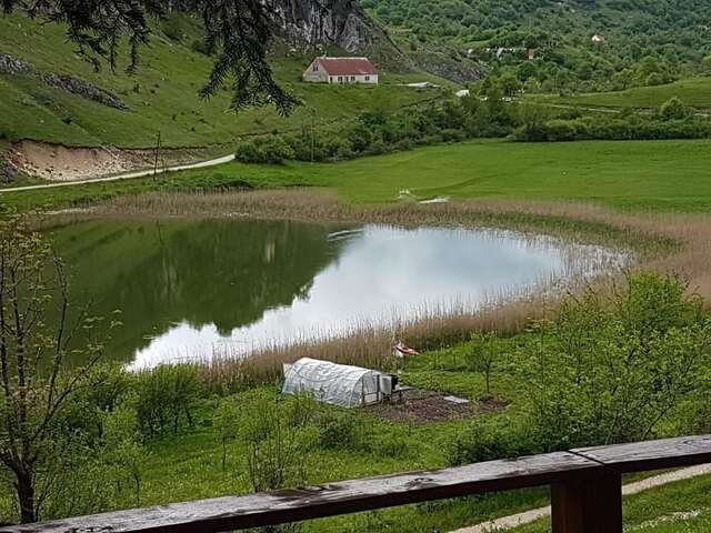Гостевой дом Detached house Milivoje Pošćenje-30